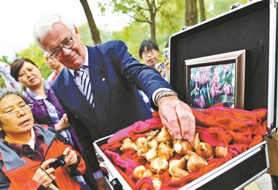 彭丽媛命名郁金香种球抵京入植北京植物园(图)